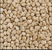 Almond resin-bound path aggregate finish