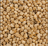 Golden Buff resin-bound path aggregate finish